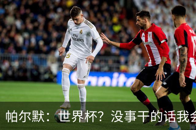 帕尔默：世界杯？没事干的话我会看看，我希望他们能走到最后